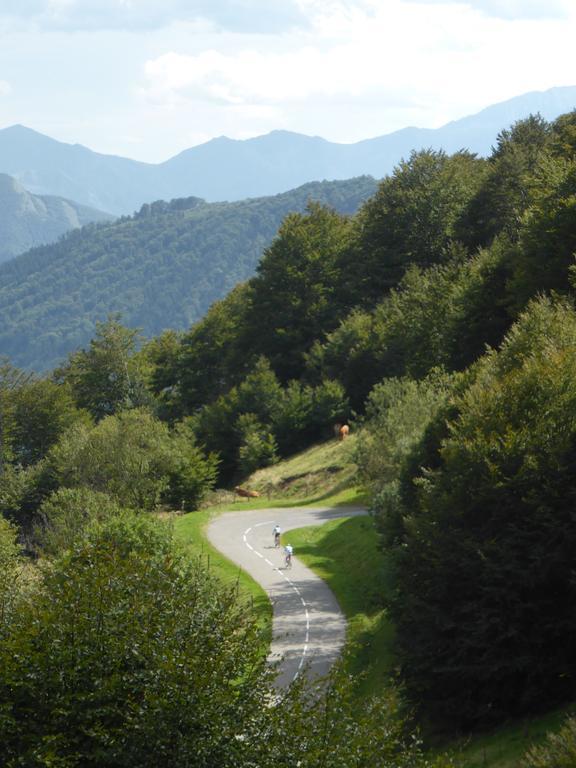 Bedbreakfastbikespyrenees Bed & Breakfast Loubieres Екстериор снимка