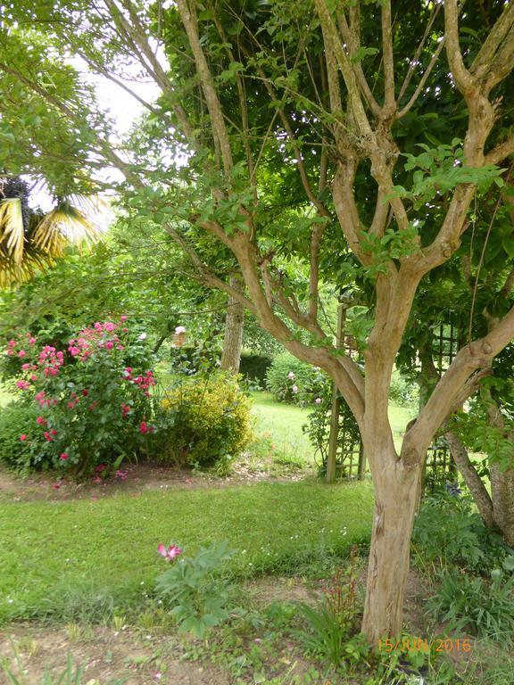 Bedbreakfastbikespyrenees Bed & Breakfast Loubieres Екстериор снимка